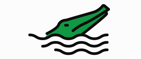 Crocodile Crossing Logo